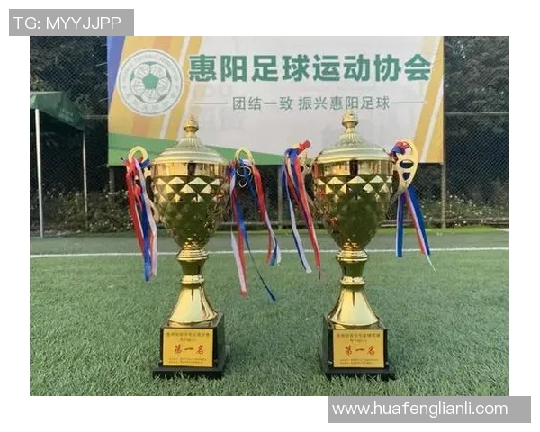 海南足球协会推动本地青少年足球发展助力体育事业新篇章